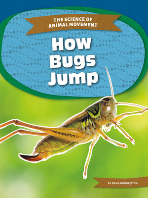 cover image of How Bugs Jump